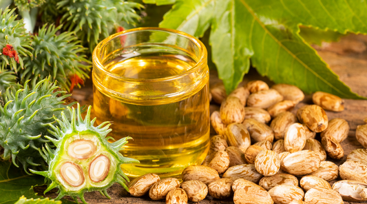 castor oil. beans and oil