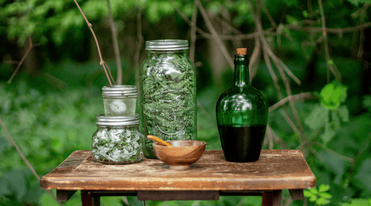 Herbal First Aid: What to Keep in Your Natural Healing Kit - Tree Of Asteria