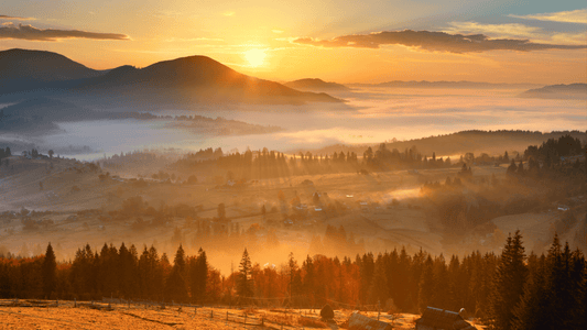 Rooted in Nature: Quotes & Sayings About Nature - Tree Of Asteria