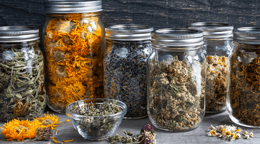 10 Best Herbal Remedies for Post-Workout Muscle Recovery and Soreness Relief - Tree Of Asteria