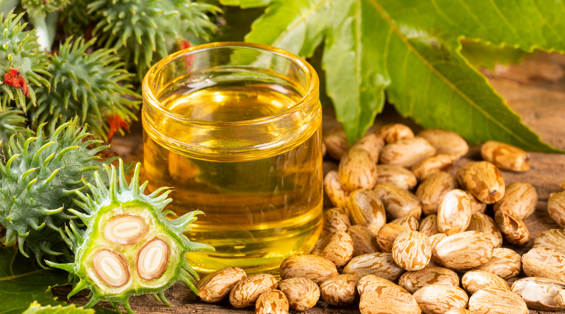castor oil. beans and oil