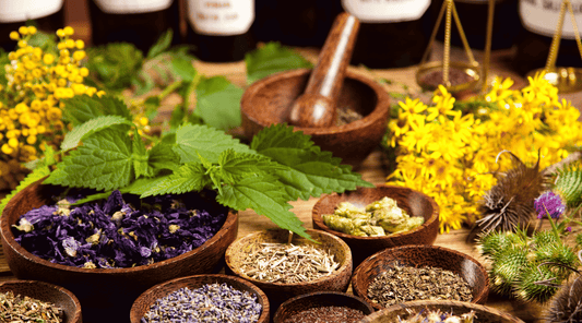 5 Best Medicinal Herbs for Beginners (And How to Use Them) - Tree Of Asteria