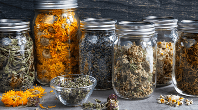 Best Herbs for Detox: Natural Remedies to Support Cleansing and Wellness - Tree Of Asteria