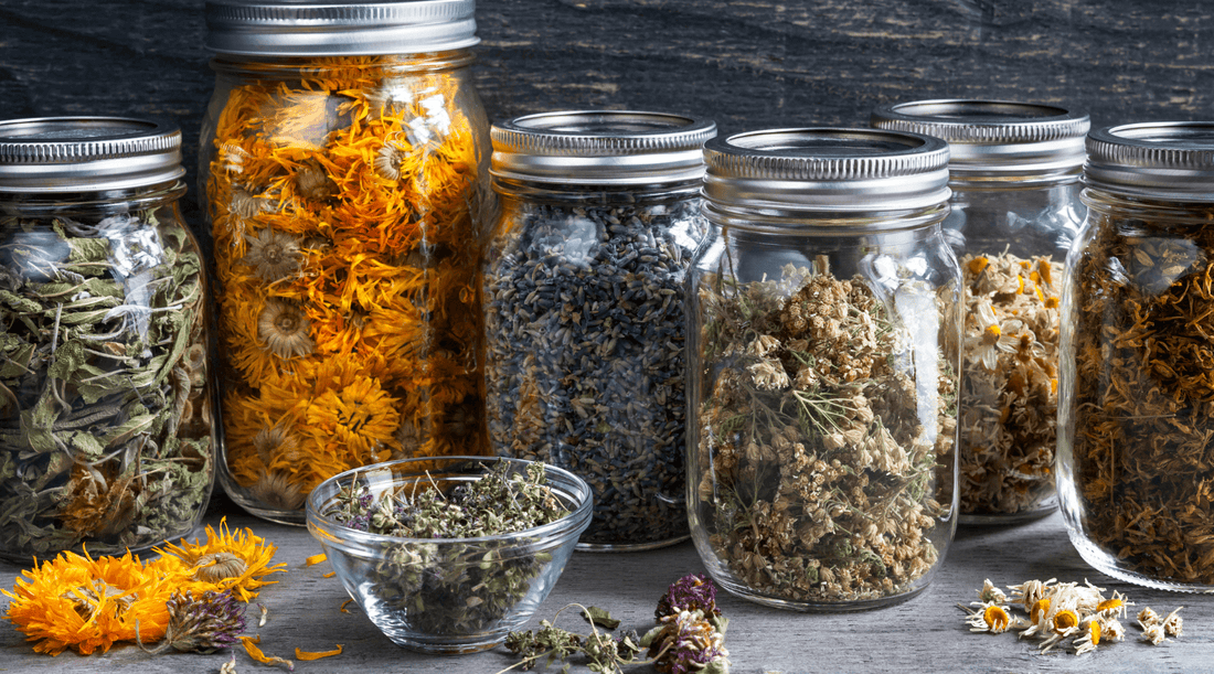 Best Herbs for Detox: Natural Remedies to Support Cleansing and Wellness - Tree Of Asteria