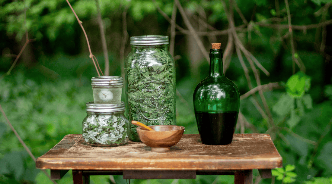 Herbal First Aid: What to Keep in Your Natural Healing Kit - Tree Of Asteria