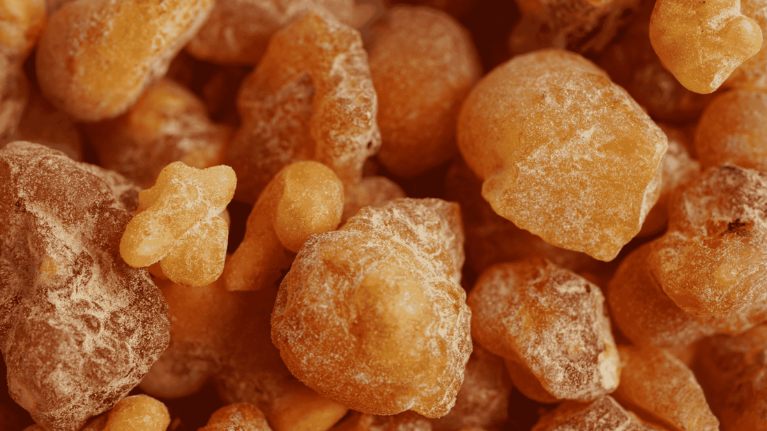 The Benefits of Frankincense Resin: A Powerful Natural Remedy for Skin & Wellness - Tree Of Asteria