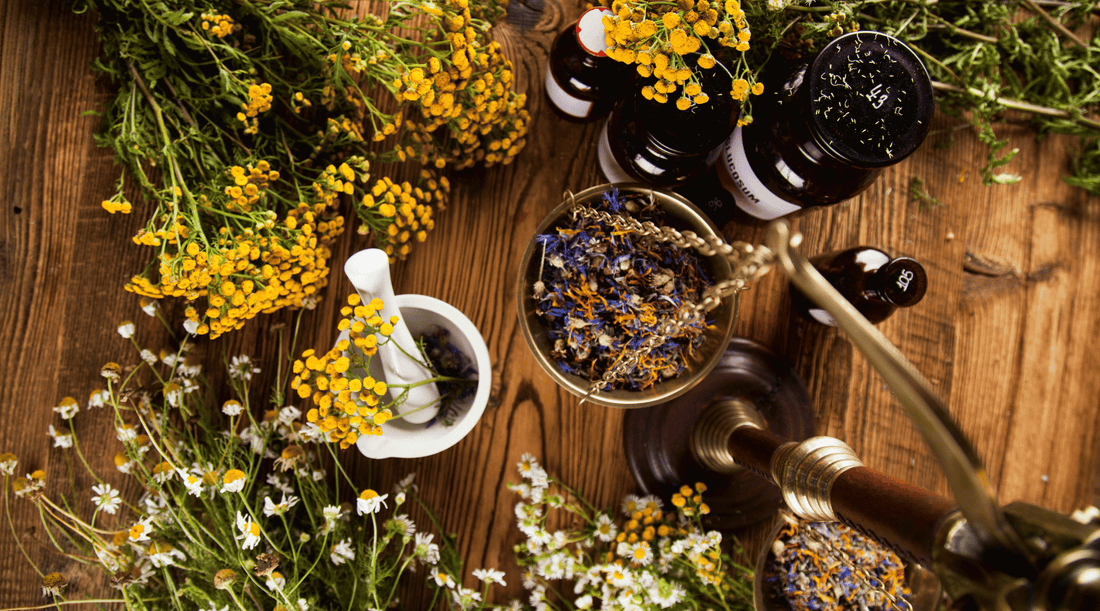 The Benefits of Using Herbal Salves Over Synthetic Ointments - Tree Of Asteria