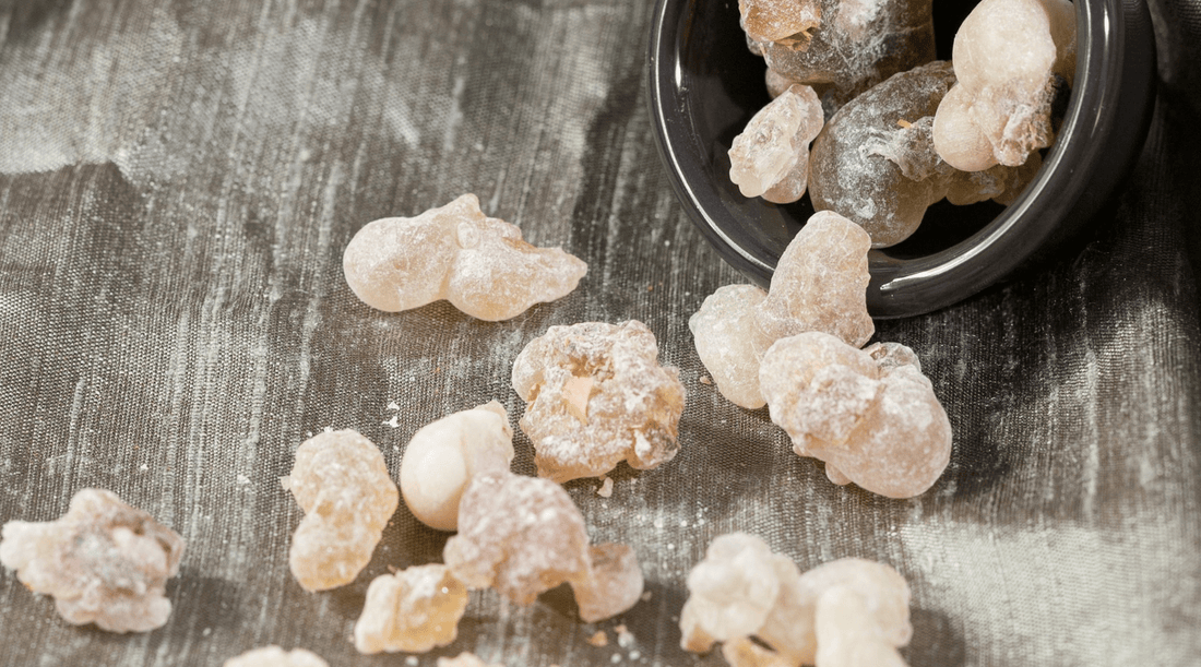 The Role of Tree Resins in Natural Skincare and Wellness - Tree Of Asteria